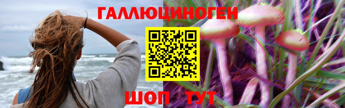 Псилоцибиновые грибы Cubensis  Вход с VPN  Дмитров  Галлюциногенные грибы Cubensis 